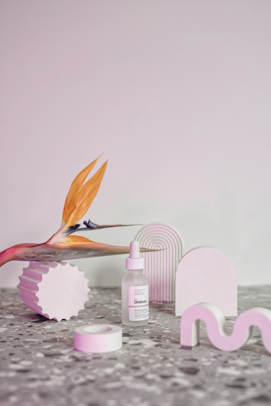 orange-bird-on-purple-and-white-flower-petals-9crx90t96s8